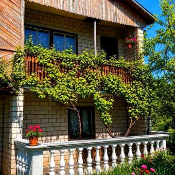 Продам дачу  Бобровський масив 1