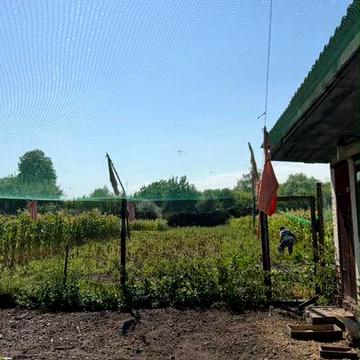 Продам будинок із землею і огородом на 15 соток