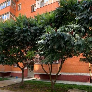 Продаж 1 кімн. квартири в Новобудові з автономним опаленням