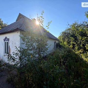 Продаж 4к Дім Виноградна