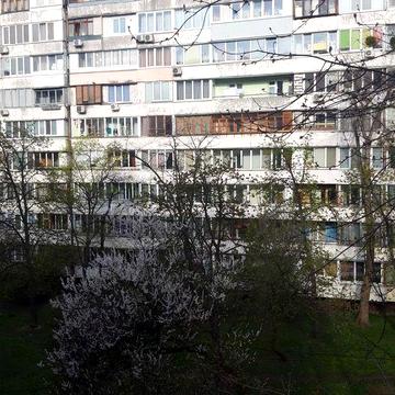 Сдам 2 кім. квартиру. РУСАНОВКА