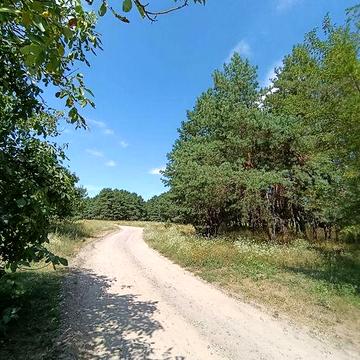 Продається дача в СТ Фіалка Кривуші