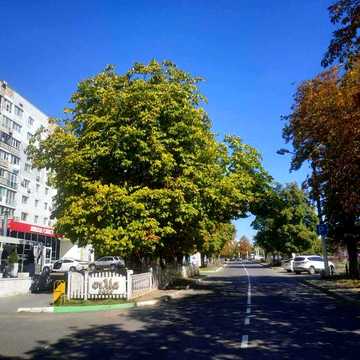 Продам 3к на Парковой с большой кухней, этаж 2й цена 56т