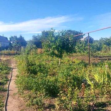 Продам будинок у м. Вільнянськ