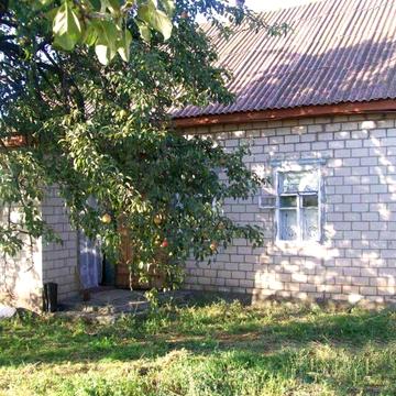 Продаеться дом на 52 сотках земли в Сурсео-Михайловее