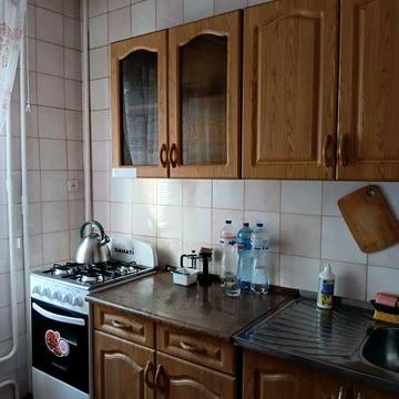здам 1 квартиру в Хортицькому р-ні