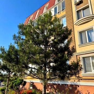 Квартира з ремонтом у 10хв від моря‼️Таирова. ГАЗОВИЙ КОТЕЛ. Меблі/Техніка. ДЕРЖ.ПРОГРАМИ‼️Місця для авто!