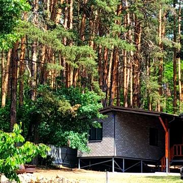 Будиночок у лісі с.Проців, 35 км до Києва