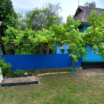 Продаж 1 поверхового будинку і ділянкою на 1 га,