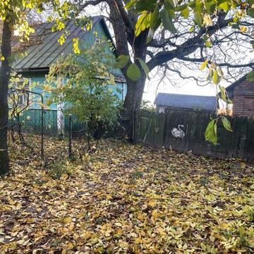 Здам в оренду будинок