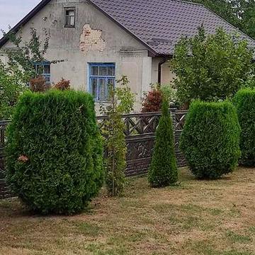 Продаж будинок смт.Демидівка Рівненська