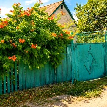 Продам будинок з великою земельною ділянкою 11 соток
