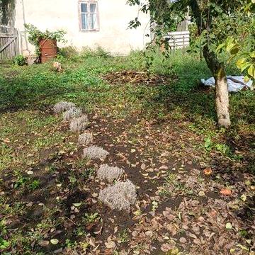 Продається будинок + ділянка.ТЕРМІНОВО