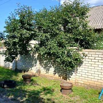 Продам дом в Чугуевском рн ( п.Чкаловкое )