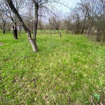 Продам дачу в мальовничому місці, 6 соток, рівна ділянка, садок