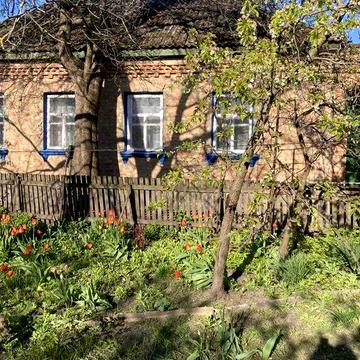 Продам будинок  в смт. Олександрівка