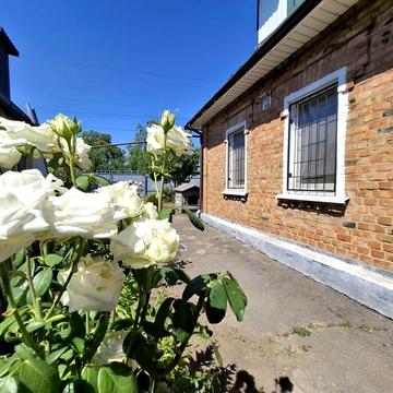 Продам  будинок  в Божедаровкі