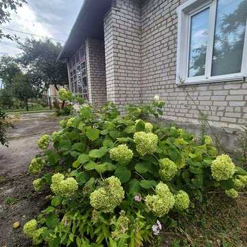Продам пів будинку