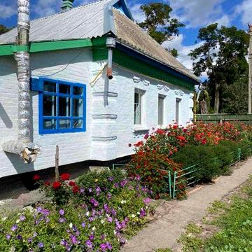 Продається будинок  с. Богодарівка