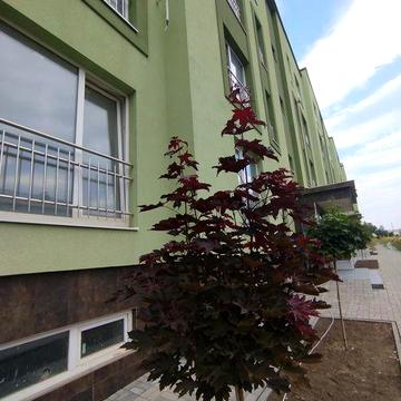 3 кімнатна новобудова