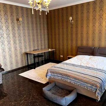 Оренда 1 кімнатної квартири  Бульвар Лесі Українки 7А  Печерський район Є ГЕНЕРАТОР