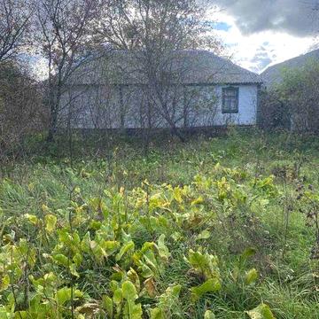 Продам Будинок Село Борщів