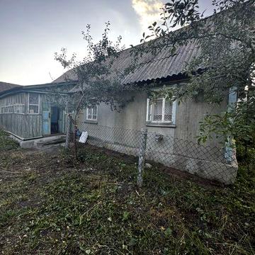 Продаж Будинок с. Кодня 50 сот землі