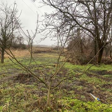 Продам дом в таромском
