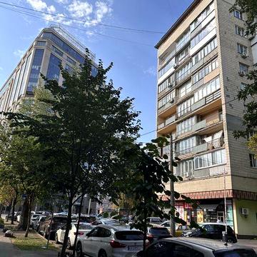 Продаж3кв 94м Центр Печерськ Вул Омеляновича-Павленко 19 Вільна 4повер