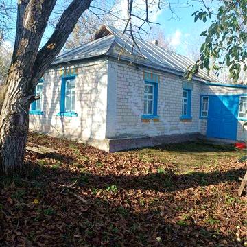 Продам будинок у мальовничому селі