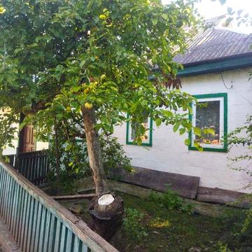 Будинок с.Михайлівка, Камянський район