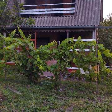 Продаж 2к Дім Гайдамацька (Єсипенка) вулиця