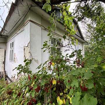 Продається деревяний будинок в с. Новий Витків