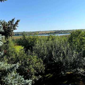 Продам дом дачу. с Булацеловка