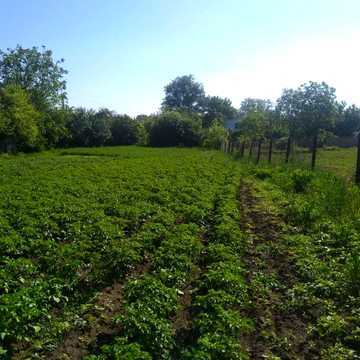 Продається дім с.Вербівка, Городищенський р-н, Черкаська обл.