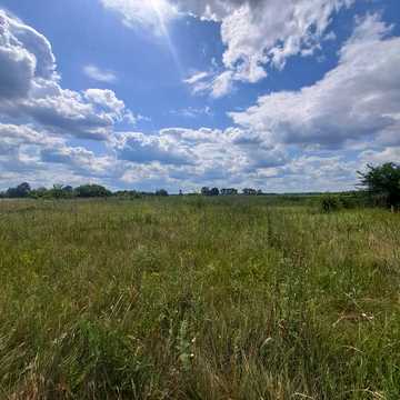Польова