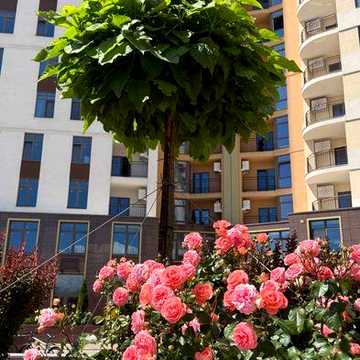 3 комнатная квартира на Краснова Кадорр Сити 90м2  63 Жемчужина Ипподром‼️ состояние от строителя! Е-Оселя! ЖК 63 Жемчужина