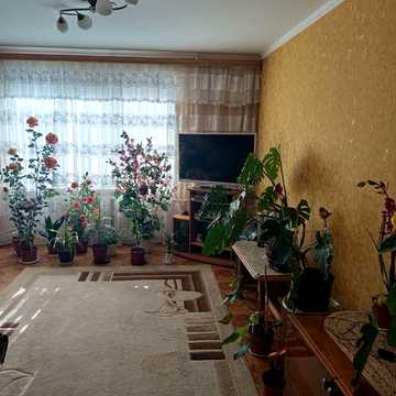 Квартира в центрі міста