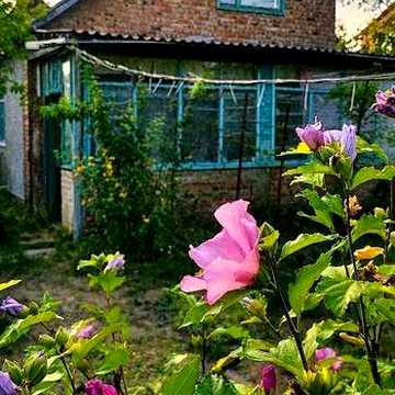 продам дачу біля річки