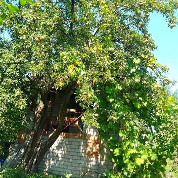 Продам дачу, Ігрень, Дніпро