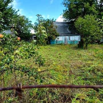 Продам дачу в Березанці