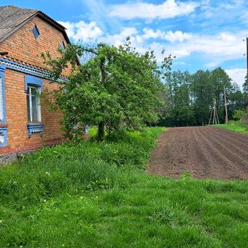 Продам будинок с.Медведівка