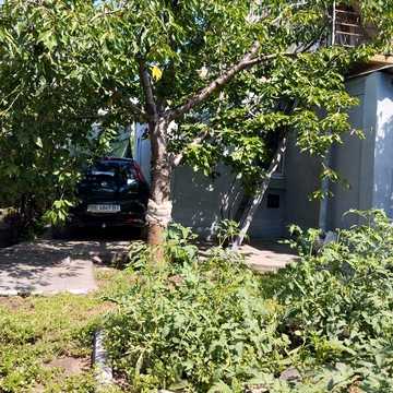 Продаю дачу в СТ Сосновое