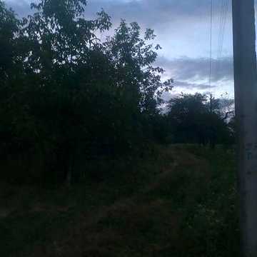 Продам не дорого! Господарство чи під дачу По держ акт1.га Чи здам !