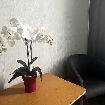 Миколи Кибальчича вул., 21
