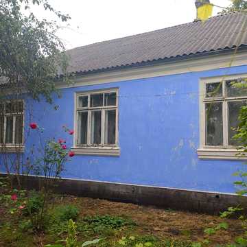 Продам будинок с Великі Межиричі (Заставя)