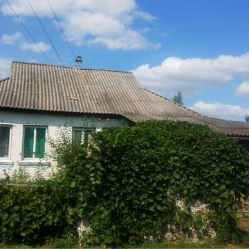Продам будинок із великою земельною ділянкою в селі Лихолітки біля Козельця