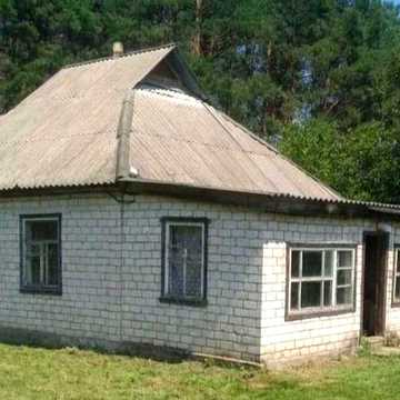 Велика земельна ділянка біля лісу + цегляний будинок | с. Софіївка, Черкаська область