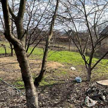 продам будинок Веселі Терни