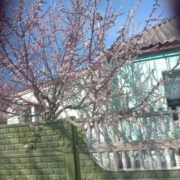 Оренда дома в Балаклеи